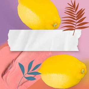 Echoes of Lazy Winter Moments - Hotel Music