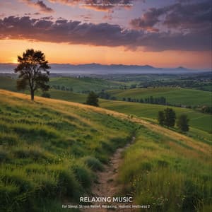 Relaxing Music for Sleep, Stress Relief, Relaxing, Holistic Wellness 2 - Lernmusik