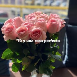 Tú y una rosa perfecta - Bebop Jazz Radio
