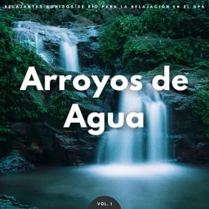 Arroyos De Agua: Relajantes Sonidos De Río Para La Relajación En El Spa Vol. 1 - Arroyos Ventosos