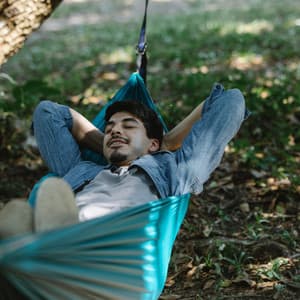 Quiet Tranquility Music for Relaxation - Relax & Chill Music