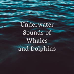 Underwater Sounds of Whales and Dolphins - Calm Animals Music