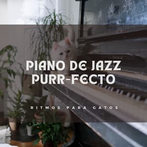 Piano De Jazz Purr-Fecto: Ritmos Para Gatos - Maestros de la música de relajación para piano