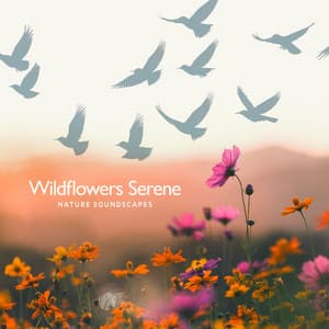 Wildflowers Serene - The Nature Soundscapes