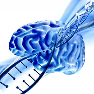 Częstotliwości regeneracji neurokrążeniowej - Solfeżoterapia