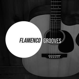 # 1 Album: Flamenco Grooves - Acoustic Guitar Songs