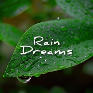Rain Dreams - Rainforest Sounds