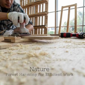 Nature: Forest Harmony for Efficient Work - Field Recordings