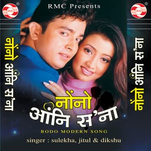 Nwngni Angni Sona - Sulekha Basumatary