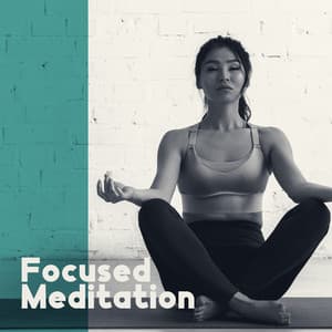 Focused Meditation: Deep Concentration, Listening to a Gong, Practice to Help Focus Your Attention - Deep Meditation Academy