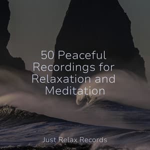 50 Peaceful Recordings for Relaxation and Meditation - Pro Sound Effects Library