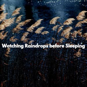 Watching Raindrops before Sleeping - Jazz Romance