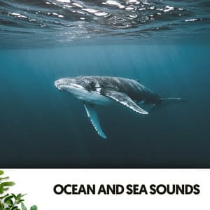 Ocean and Sea Sounds: Deep Blue Harmony - Ruido Blanco Hart