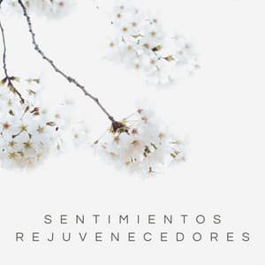 Sentimientos Rejuvenecedores - Ruido De Colores