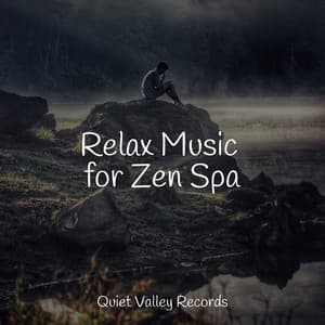 Relax Music for Zen Spa - Deep Horizon Waves