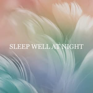 Sleep Well at Night: Deep Sleep, Nature Sounds Soothing the Senses - Sleep New Age Master