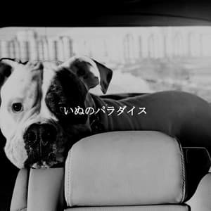 いぬのパラダイス - #Relaxing