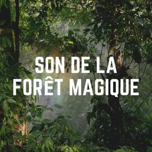 Son de LA forêt Magique - Sons de la nature