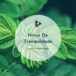 Notas De Tranquilidade - Lullify Português