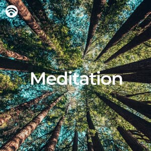Meditation: Forest Sounds - Meditaciones