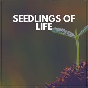 Seedlings of Life - Healing Peace