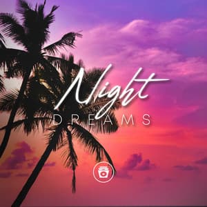 Night Dreams - Soothing Sounds