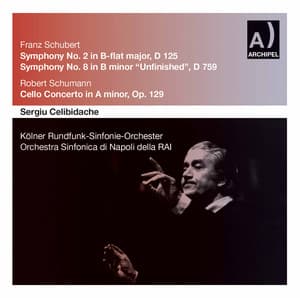 Schubert & R. Schumann: Orchestral Works - Sergiu Celibidache