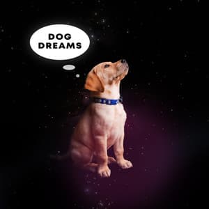 Dog Dreams - Dog Music Dreams
