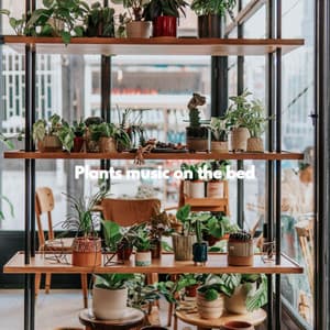 Plants music on the bed - Acoustic Coffee Shop Music