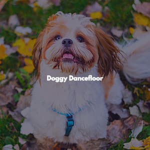 Doggy Dancefloor - Jazz Office