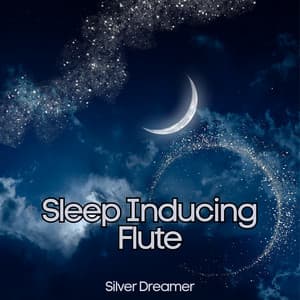 Sleep Inducing Flute: Music for Rest - Silver Dreamer