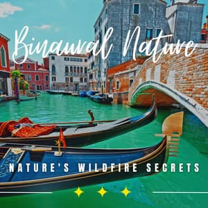 Wildfire Whispers: Binaural Nature Mystique - Harmonic Breathing