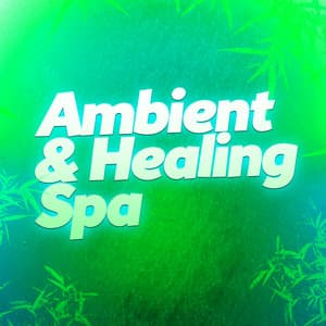 Ambient & Healing Spa - Spa Zen