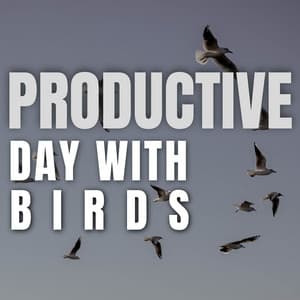 Productive Day with Birds - Bird Songs