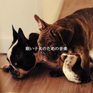 眠い子犬のための音楽 - Romantic Jazz Music Lovers Club