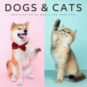 Dogs & Cats: Soothing Water Music For Your Pets - Relax My Dog Music
