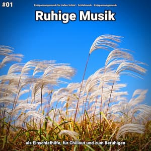 #01 Ruhige Musik als Einschlafhilfe, für Chillout und zum Beruhigen - Entspannungsmusik für tiefen Schlaf