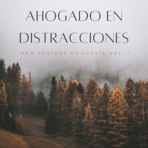 Ahogado En Distracciones Con Sonidos De Lluvia Vol. 1 - Relajarse Lluvia