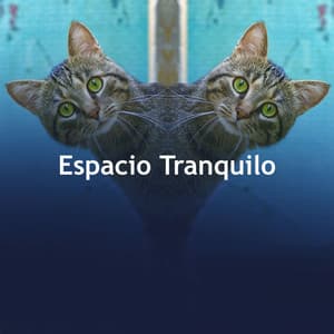 Espacio Tranquilo - Musicoterapia para gatos