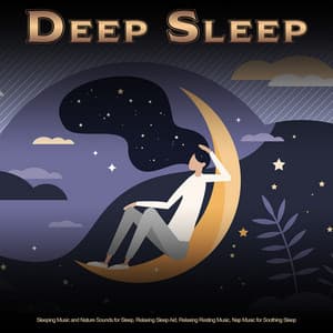 Deep Sleep: Sleeping Music and Nature Sounds for Sleep, Relaxing Sleep Aid, Relaxing Resting Music, Nap Music for Soothing Sleep - Sleeping Music