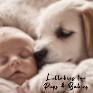 Lullabies for Pups and Babies - Soothing Dog Sounds