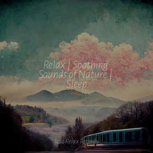 Relax | Soothing Sounds of Nature | Sleep - Chakra Balancing Sound Therapy