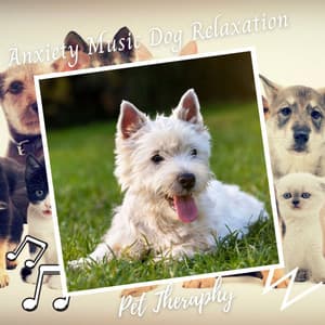 Pet Therapy: Anxiety Music Dog Relaxation - Dog Music