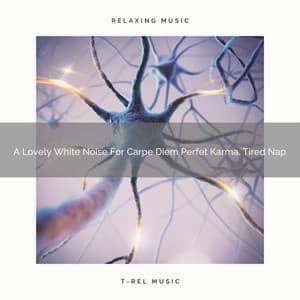 A Lovely White Noise For Carpe Diem Perfet Karma, Tired Nap - De-Stress Calming Baby Sounds