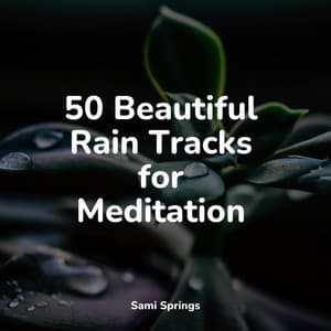 50 Beautiful Rain Tracks for Meditation - Relaxation