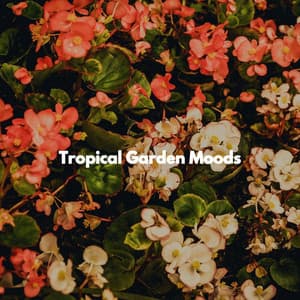 Tropical Garden Moods - Jazz para Relajarsa