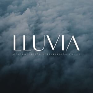 Lluvia: Contemplación Y Relajación Vol. 1 - Música Pura Para Perros