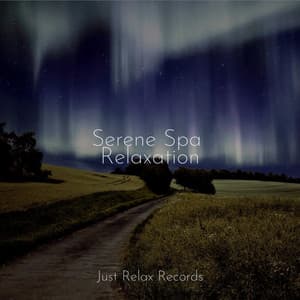 Serene Spa Relaxation - Musica romantica instrumental