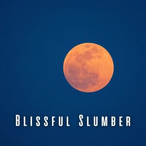 Blissful Slumber: Meditative Sounds for a Good Sleep - Meditation Simple