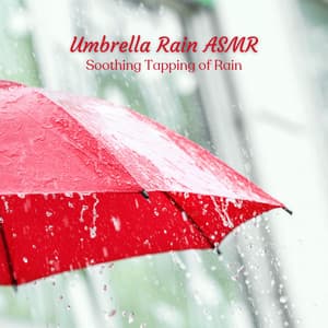 Umbrella Rain ASMR: Soothing Tapping of Rain - Rain Sounds Factory STHLM